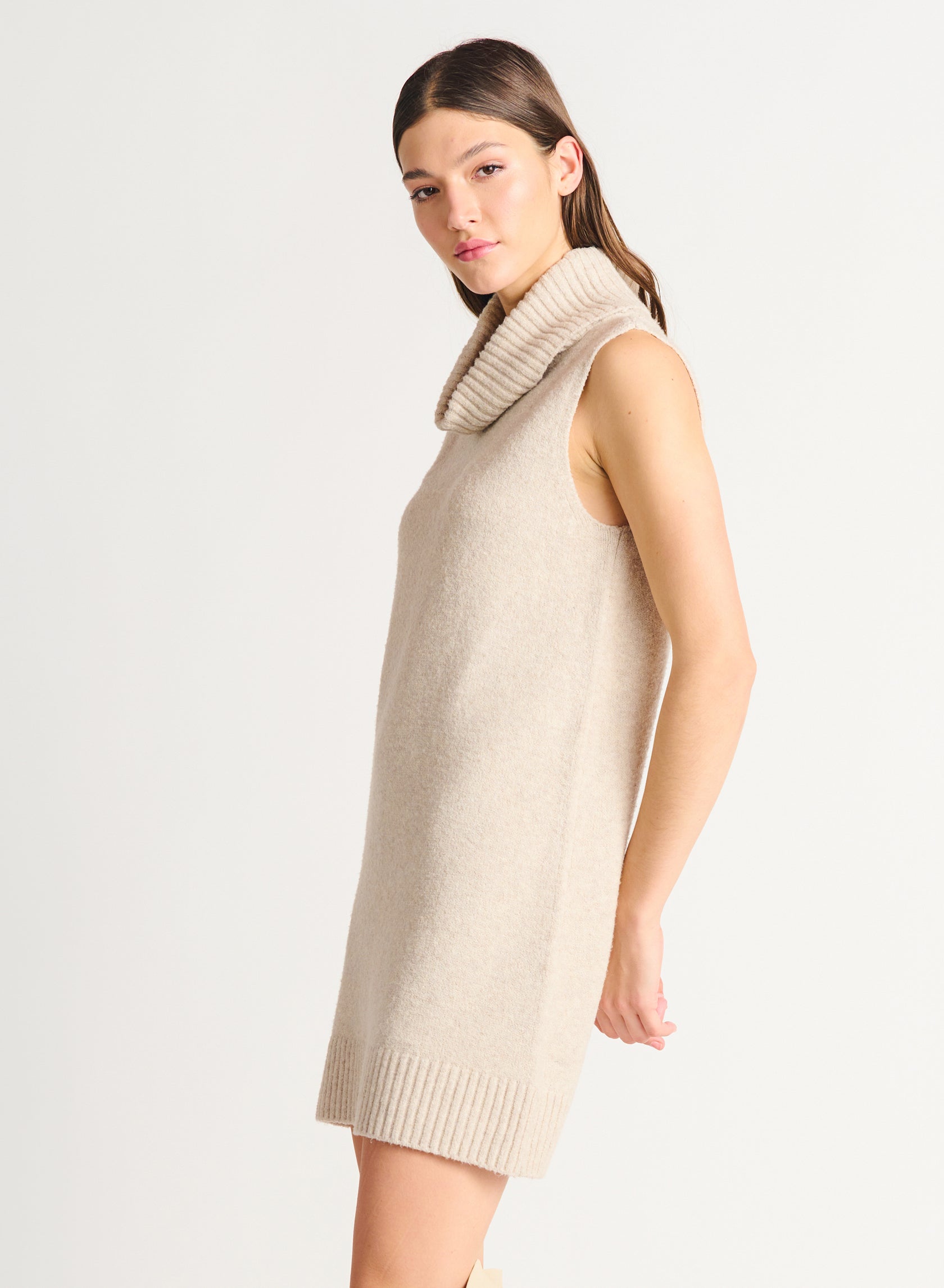 Sleeveless Turtleneck Dress