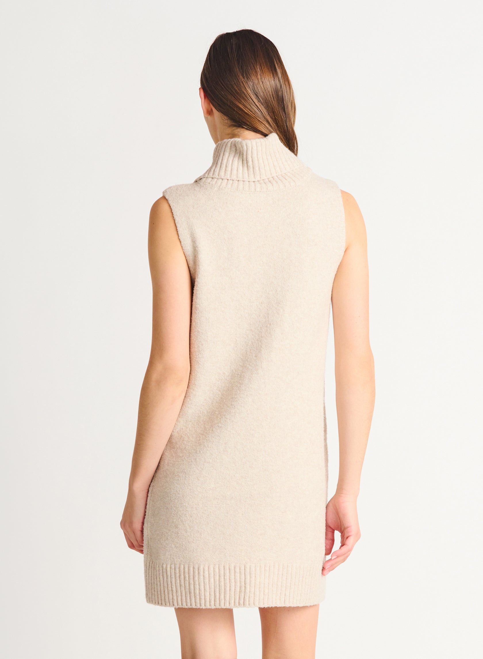 Sleeveless Turtleneck Dress